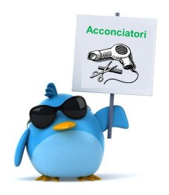 acconciatori_-pinguino